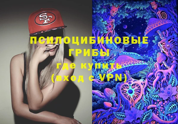 МДМА Алексеевка