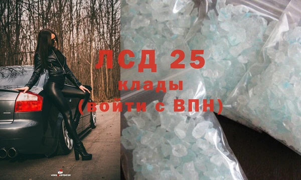 хмурый Алзамай