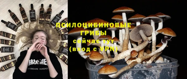 дмт Пролетарск
